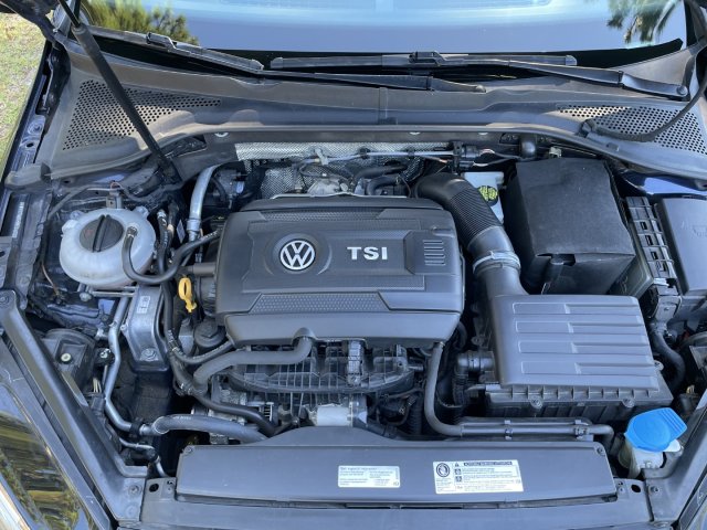 IMG_5130 (Large).JPG